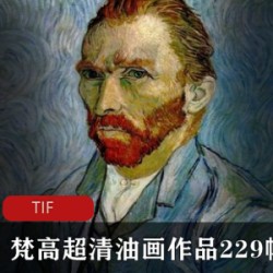 [文学艺术] [梵高超清油画作品集229幅][梵高][229幅][TIF][超高分辨，细致入微]